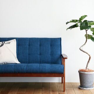 放っておいていない？お気に入りの「ソファ」と長く付き合うための《素材別・お手入れ法》