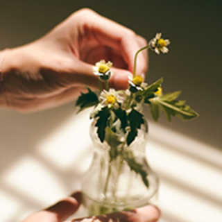 知ればきっと暮らしが変わる。食や美で取り入れる"自然の恵み"