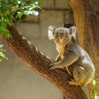 連休に行ってみたい！名古屋のハズせない観光スポット＆おいしいごはん