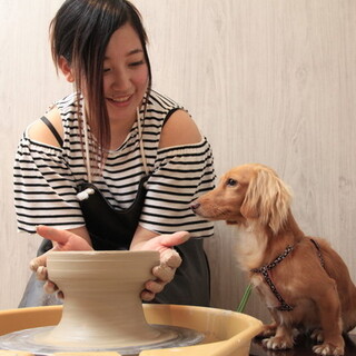 週末はワンコと一緒に出かけよう♪愛犬と遊びに行く【伊豆】のおすすめスポット