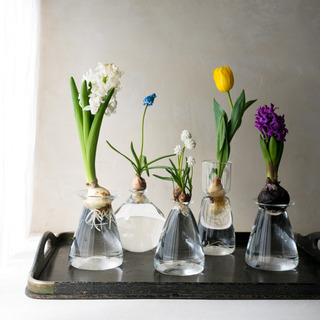 存在感のあるフラワーベースで、花のある暮らしを楽しもう