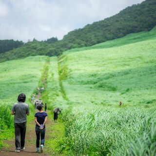 日帰りでも。一人でも。“わたしのリセット旅－「箱根」エリア別ガイド－”