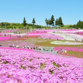 今週末のおでかけに。都心からすぐの観光地【秩父】でパワーをもらおう！