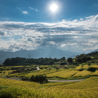 里山と水田が織りなす風景に魅せられて【日本の棚田百選/信越地方編】