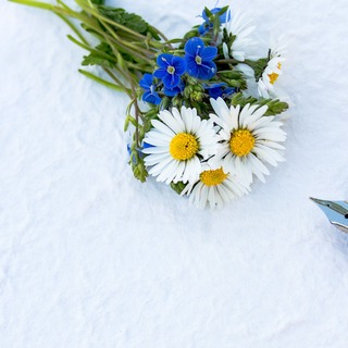 「ありがとう」を伝えたい。"手紙・メッセージカード"のアイディア集