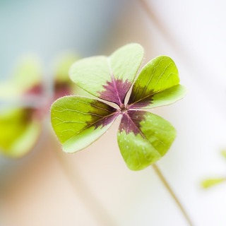 ハッピーはわかりやすく増やそう♪【いいこと貯蓄】のすすめ