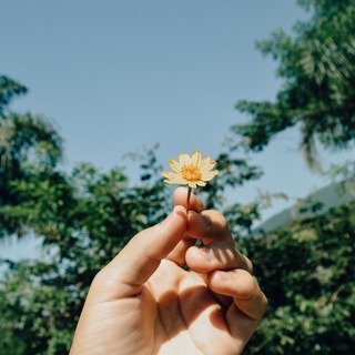 きちんとリフレッシュできてる？キナリノ的休日にしたいことTO DO LIST