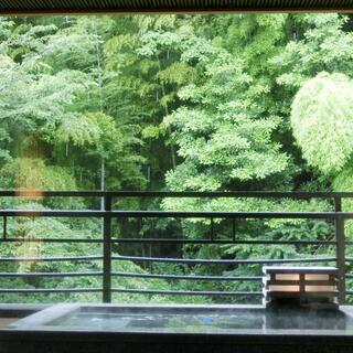 緑の中の温泉で。身体も心もリラックス。“わたしのリセット旅－「箱根湯本温泉」編－”