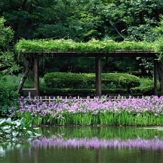 東京の自然豊かな水辺を巡る。“涼”を感じる「大人さんぽ」のすすめ