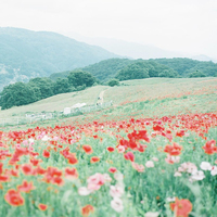 じわじわ来てます 注目の観光スポット 秩父 へ大人女子の日帰り旅 キナリノ