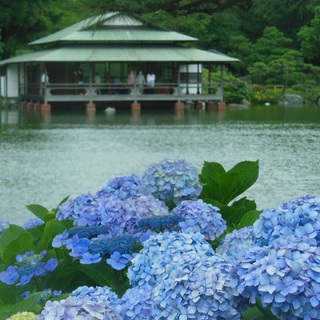 梅雨の季節をしっとり歩こう。五感で楽しむ「清澄白河さんぽ」のすすめ