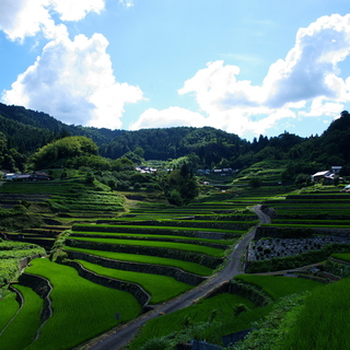 里山と水田が織りなす風景に魅せられて【日本の棚田百選/中国・四国地方編】