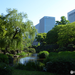 心穏やかになれる場所。身も心もリフレッシュ♪女友だちと巡る【東京】