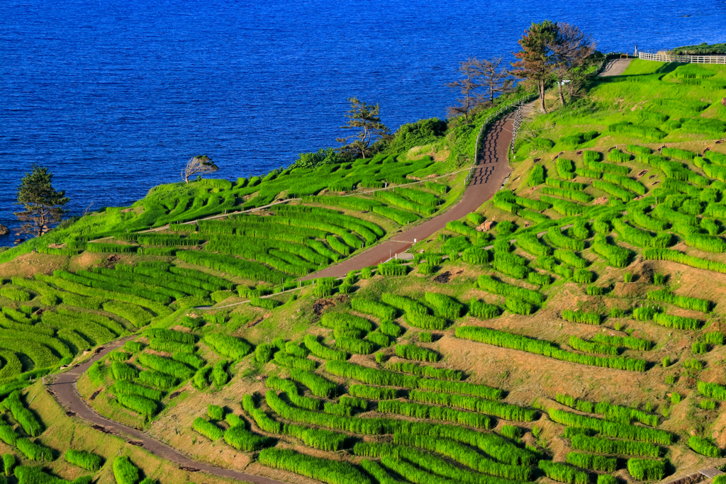 里山と水田が織りなす風景に魅せられて【日本の棚田百選/東海・北陸地方編】 キナリノ