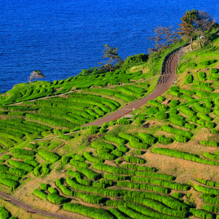 里山と水田が織りなす風景に魅せられて【日本の棚田百選/東海・北陸地方編】