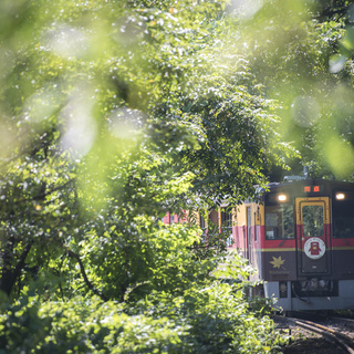 大自然の中を駆け抜ける。【トロッコ列車】が楽しめるお出かけスポット
