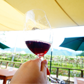 東京から日帰りでも行ける。ワインの奥深い味わいを楽しめる”山梨・勝沼ワイナリー"巡り