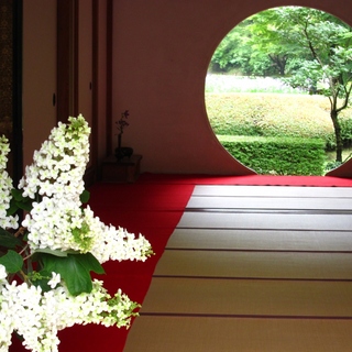 ひそやかで優しい音色に癒されて。水琴窟（すいきんくつ）とカフェを巡る鎌倉散歩に出かけよう♪