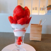 おひとりさまでも 誰かとでも まったりできる 福岡の隠れ家カフェ 8選 キナリノ