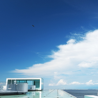 観音崎周辺を巡る【横須賀】パワースポットの神社＆美術館の小旅行 