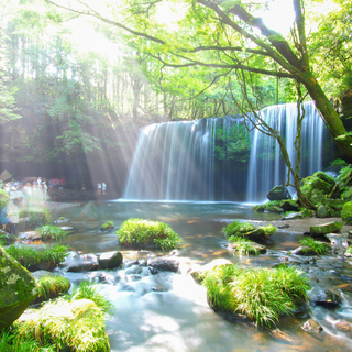 【九州】“涼”と“癒し”を求めて…《熊本・福岡・鹿児島・大分》の滝を見に出かけよう