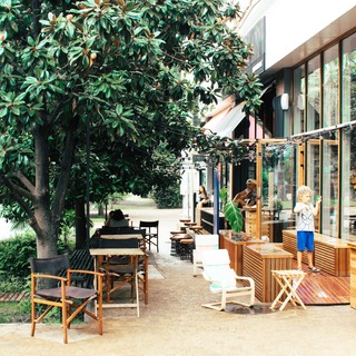 大きく深呼吸したくなる。身近で自然を感じる、『シンボルツリー』をおうちに迎えませんか?