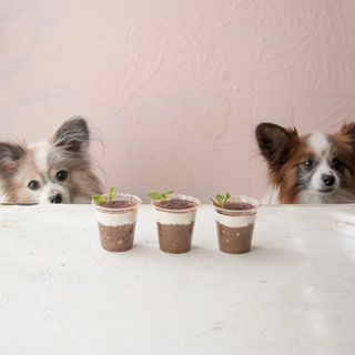 愛情をたっぷりこめて♪愛犬・愛猫に作ってあげたい【手作りおやつ】レシピ集