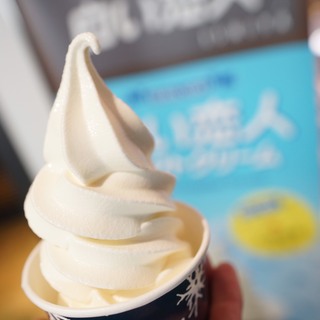 【新千歳空港】に来たら食べたい♪甘さが一味違う”北海道ソフトクリーム”の名店をご紹介