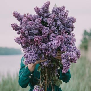 目は口ほどに物を言う？誰かと話すとき、話しの中身より大切にしたいこと