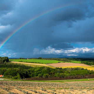 雄大な大自然のめぐみに魅せられて　～北海道・富良野で楽しむ絶景ポイント7選～