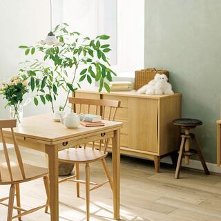 お部屋にグリーンを取り入れて。夏の暮らしを爽やかに！