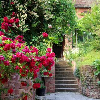 カメラ女子必見！おとぎ話の中に迷い込んだような「ヨーロッパの可愛い町&村」特集 vol.2