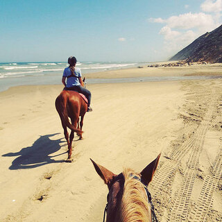 子供の心に戻れる場所。手付かずの自然の宝庫【ニュージーランド】で楽しむ10の冒険！