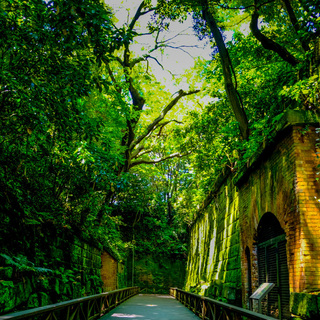 ジブリの世界観が広がる無人島「猿島」&横須賀の街を巡るフォトジェニックな1日♪
