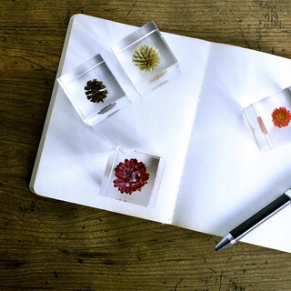 子供も大人も夢中になれる。「ウサギノネドコ」から届いた、自然を愛でるインテリア