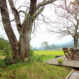 せっかく京都まで来たのだから、ちょっと足をのばして”森の京”綾部市に行こう！