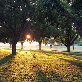 涼しくなったら走ろうよ！ちょっとした「工夫」でランニングを楽しく続けるヒント◎