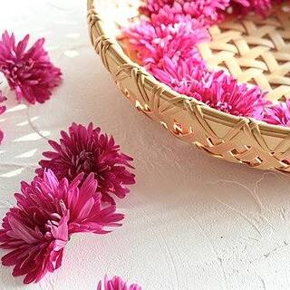 9月9日は「重陽の節句」＊ひと足先に菊尽くしで秋のテーブルを演出しませんか？