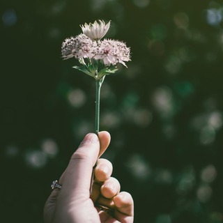 頑張りすぎない、詰め込みすぎない。心の「余白」でゆとりのある暮らしを