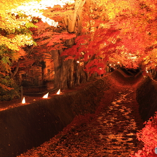 心奪われる絶景に出合える！ロケーション別《穴場の紅葉スポット》22選