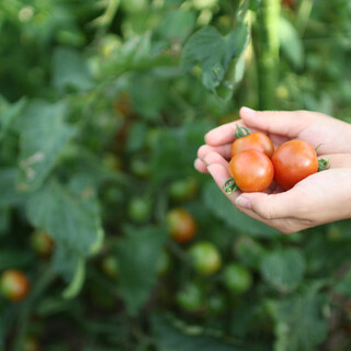 土に触れて、月を見上げて…。都会の生活に“自然”を取り入れる暮らしを始めませんか?