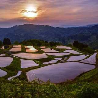 山と海に囲まれて、自然と美味を満喫する。【新潟・長岡】の観光スポット＆お店