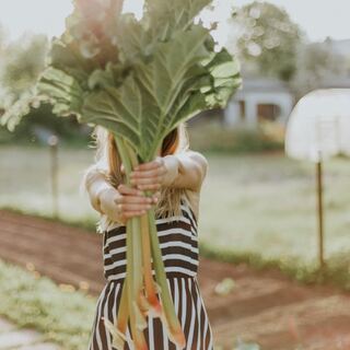 疲れた胃に「おつかれさま」を。健康的な週末“ゆるベジタリアン”ライフのすすめ