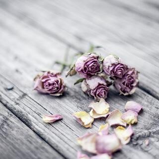 優しいって曖昧かも…。本当の「優しさ」ってなんだろう。