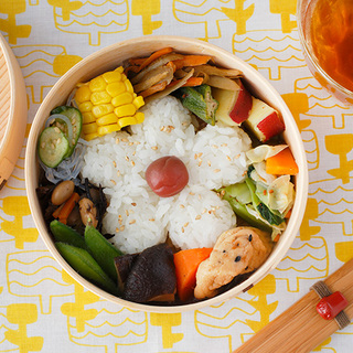 季節の変わり目に新調したくなる。おすすめ【お弁当箱】カタログ 