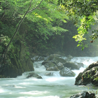 都会の喧騒を忘れて癒しのスポットへ 自然いっぱいの 埼玉県ときがわ町 へ日帰り旅 キナリノ