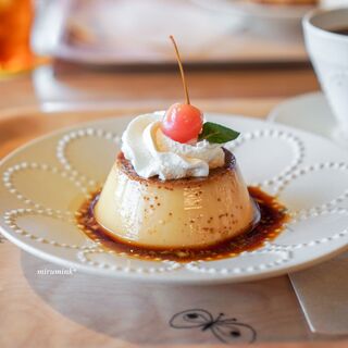 美味しいプリンが集結！【代々木・渋谷・表参道・外苑前】食べる＆お土産プリン10選