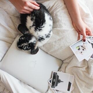 週末は「おこもり上手」になってみない？充実したおうち時間で心も体もリラックス♪