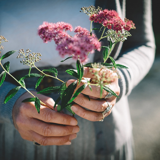 素敵な人になりたいな。 今日から始められる「大人のたしなみレッスン」
