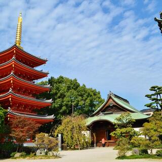 九州の玄関口【福岡・博多】名所～穴場までおすすめ「観光スポット」ガイド